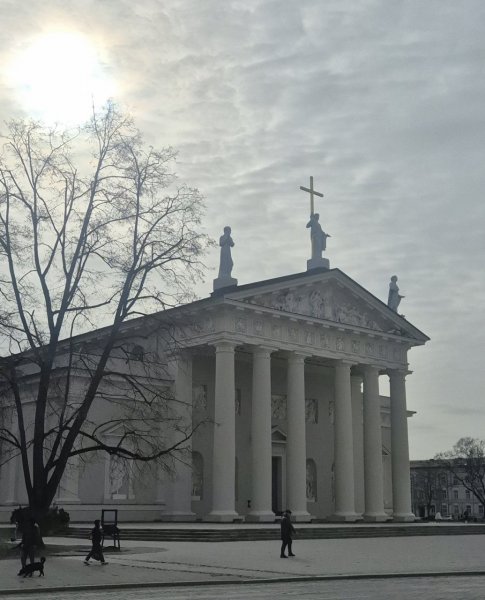Lietuvos istorijos institutas rengsis bandomajam invaziniui tyrimui Vilniaus arkikatedroje